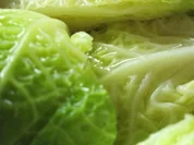 Gefüllter Wirsing - Herbstrezept, am Stück gegart - Rezept - Bild Nr. 1744