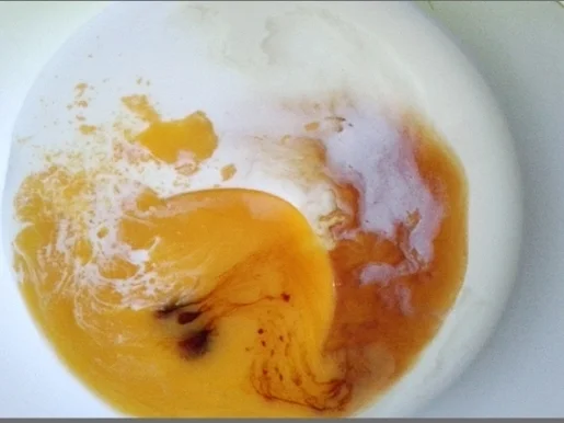 Hähnchenbrustfilet  raffiniert paniert und „goldig“ gebraten - Rezept - Bild Nr. 1783