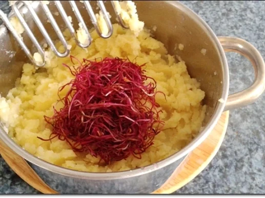 Eine fruchtige  Preiselbeersauce zu Fleischbällchen  und ... - Rezept - Bild Nr. 1787