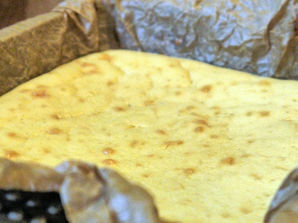 LPG-Kuchen - Rezept - Bild Nr. 1880