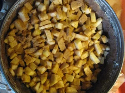 Apfel Quark Kuchen - Rezept - Bild Nr. 1885