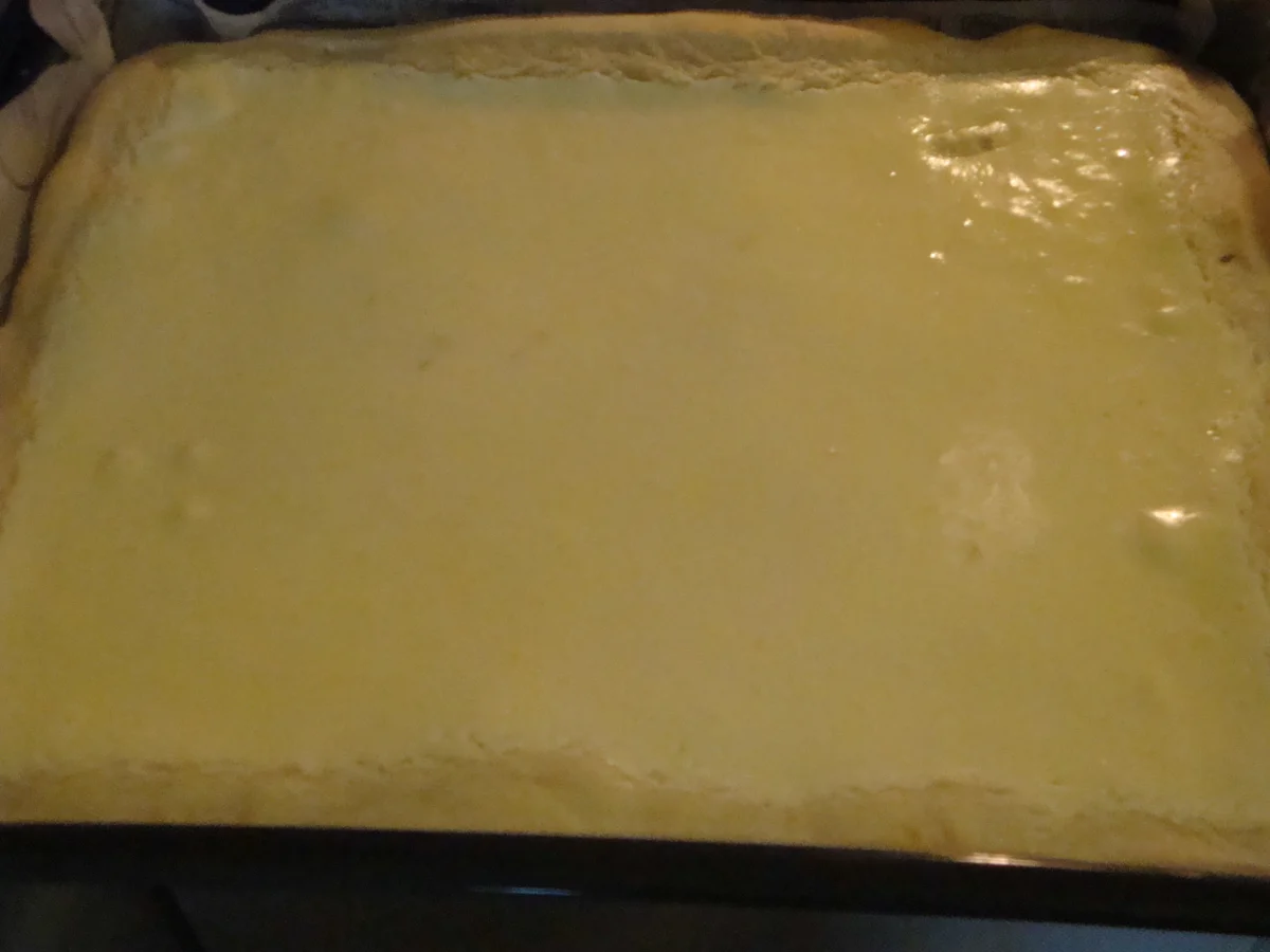 Rezept: Quarkkuchen mit Haferflocken-Haselnuss-Kruste Bild Nr. 1885 Quarkkuchen mit Haferflocken-Haselnuss-Kruste - Rezept - Bild Nr. 1885