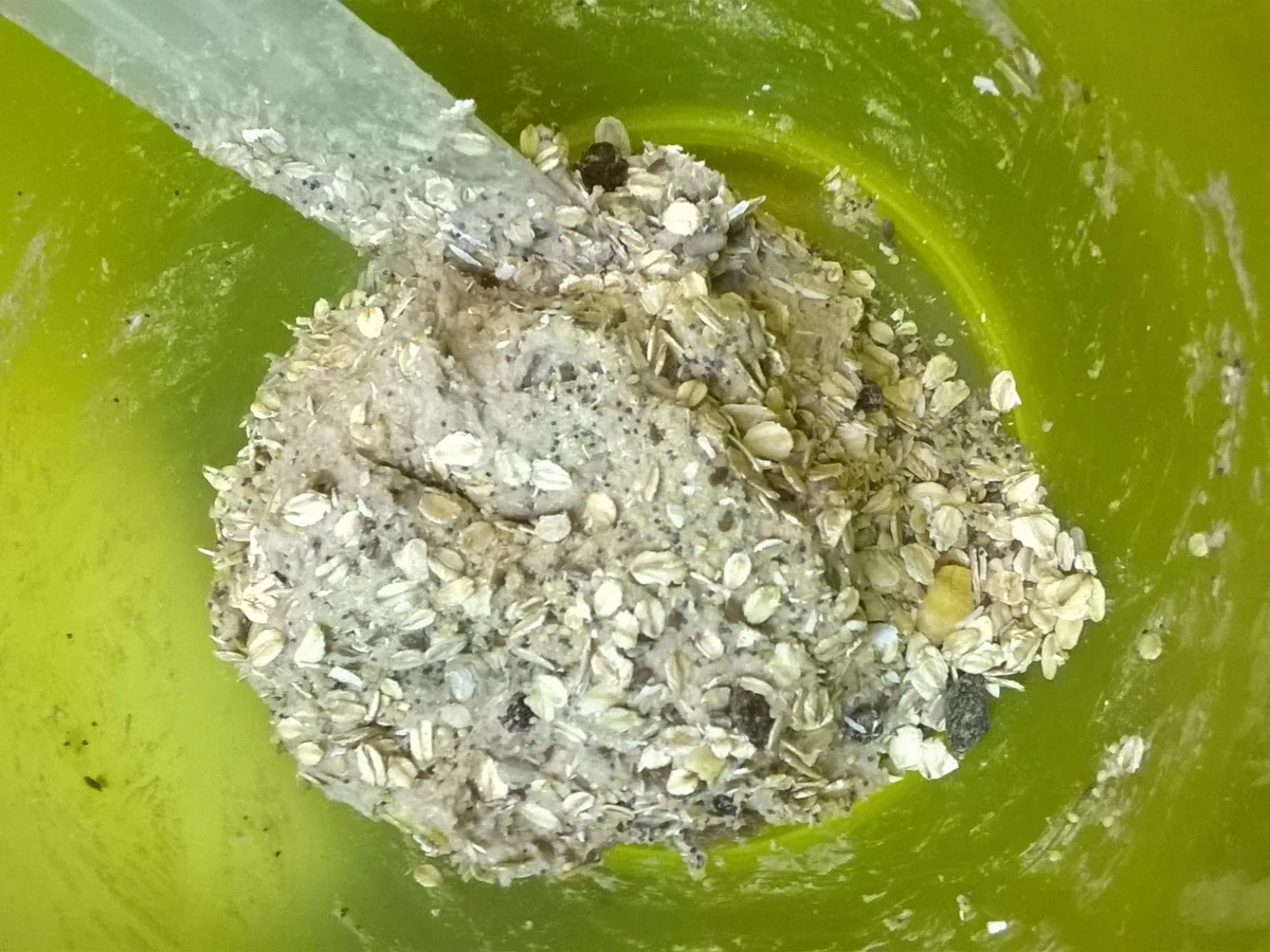 Roggen-Sauerteigbrot mit Pfiff - Rezept - Bild Nr. 2284