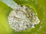 Roggen-Sauerteigbrot mit Pfiff - Rezept - Bild Nr. 2284