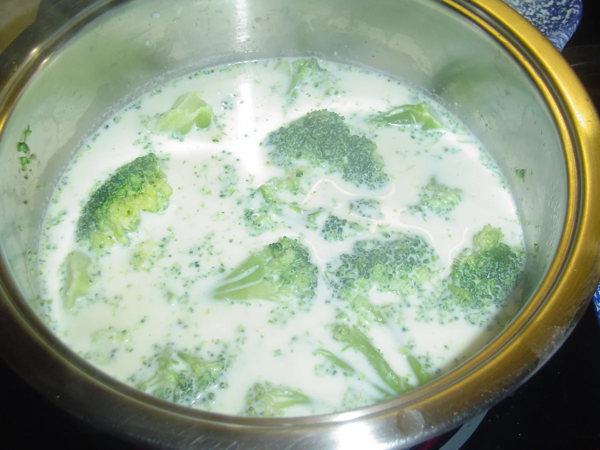 Rezept: Und immer wieder Pasta mit leckerer Sauce Bild Nr. 1884 Und immer wieder Pasta mit leckerer Sauce - Rezept - Bild Nr. 1884