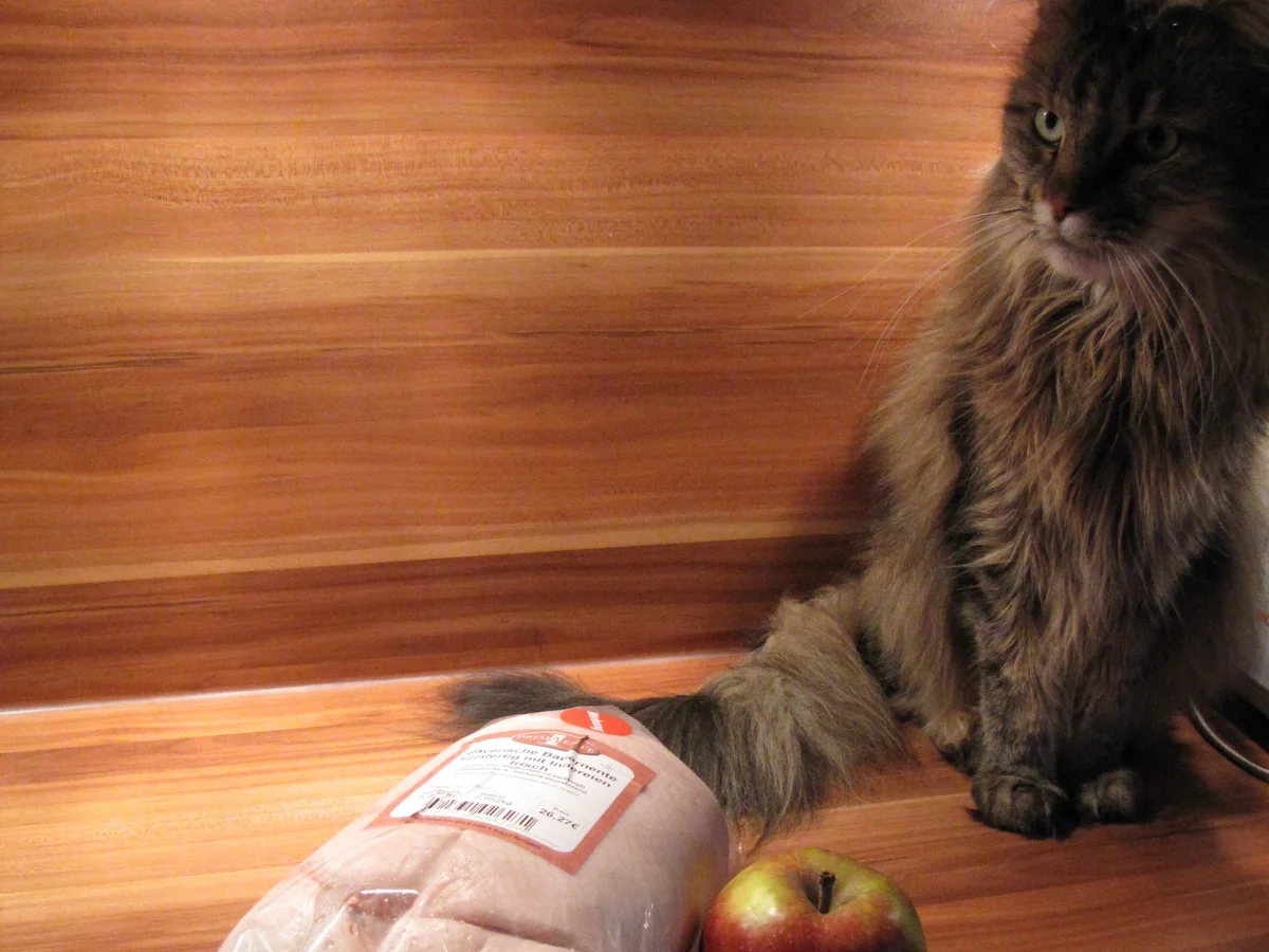 Entenbraten - Rezept - Bild Nr. 1891