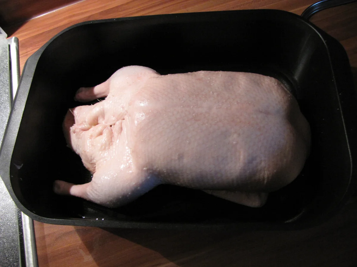 Entenbraten - Rezept - Bild Nr. 1892