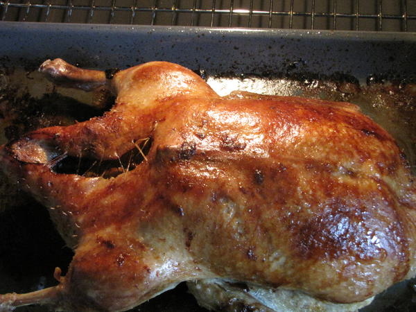 Entenklein Rezepte