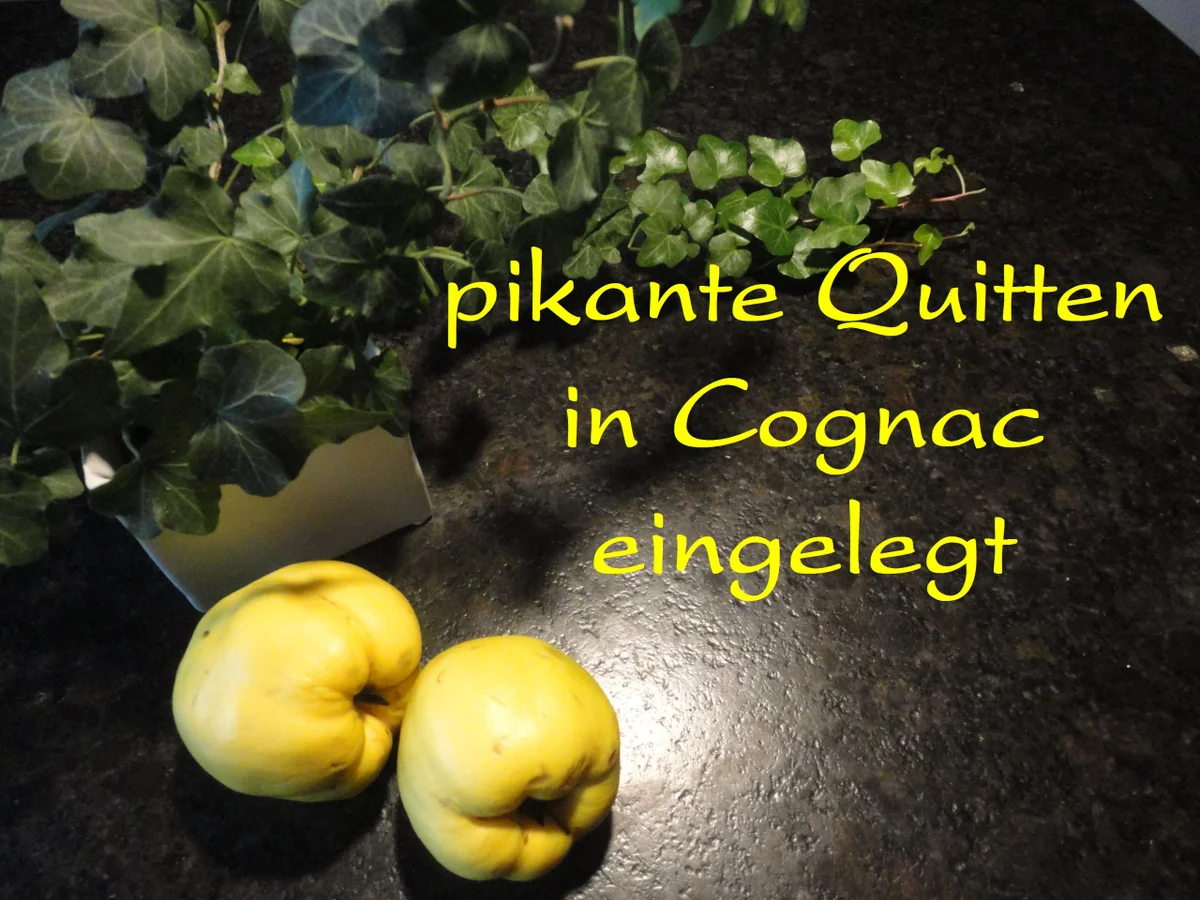 pikante Quitten - Rezept - Bild Nr. 1902