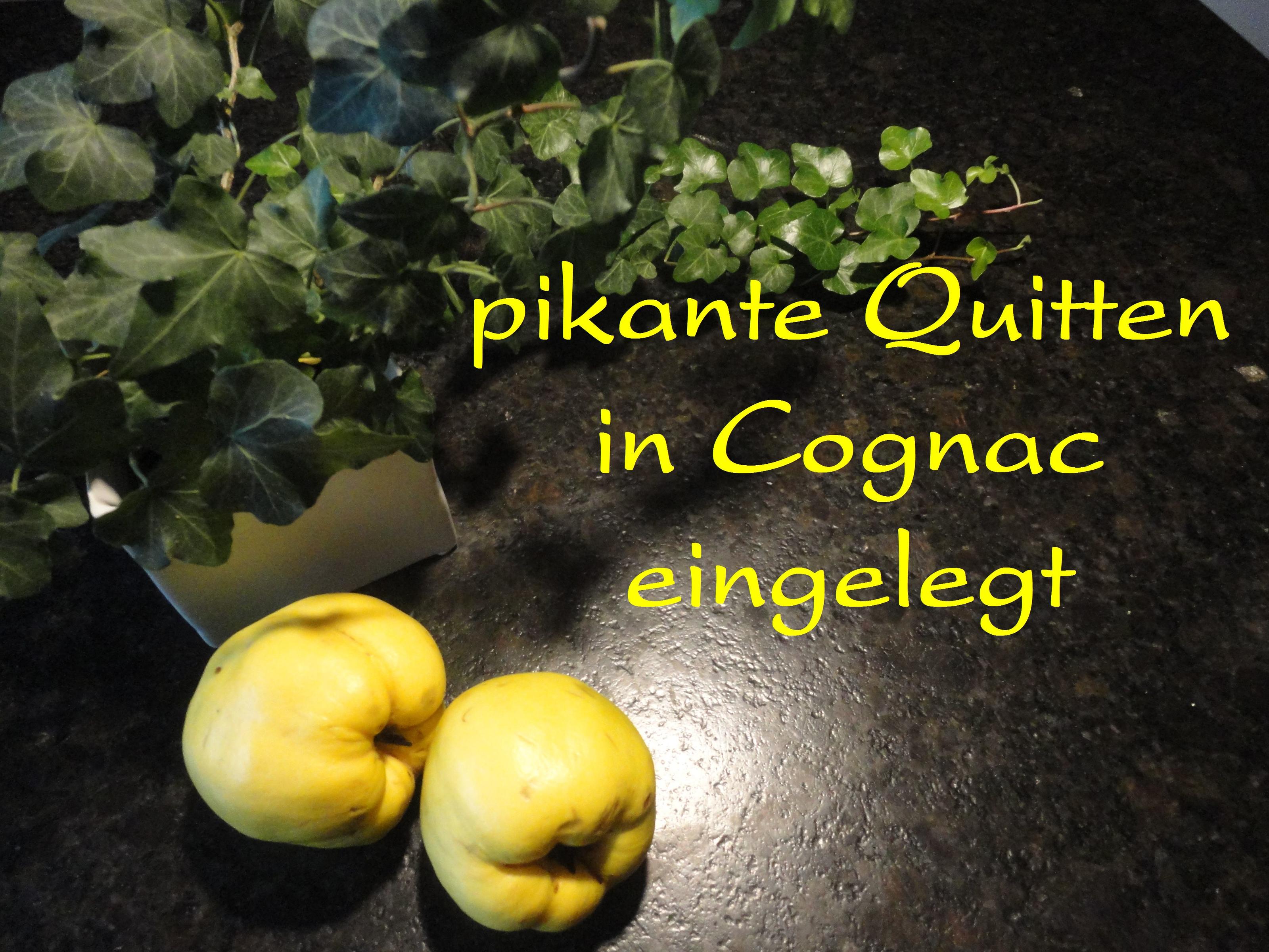 pikante Quitten Rezept von emari