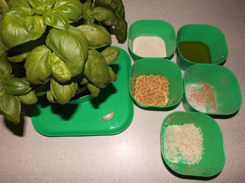 Rezept: Spaghetti mit Basilikum-Grana-Padano-Soße und knuspriges Hähnchenfilet Bild Nr. 1903 Spaghetti mit Basilikum-Grana-Padano-Soße und knuspriges Hähnchenfilet - Rezept - Bild Nr. 1903