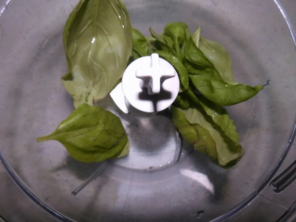 Rezept: Spaghetti mit Basilikum-Grana-Padano-Soße und knuspriges Hähnchenfilet Bild Nr. 1908 Spaghetti mit Basilikum-Grana-Padano-Soße und knuspriges Hähnchenfilet - Rezept - Bild Nr. 1908