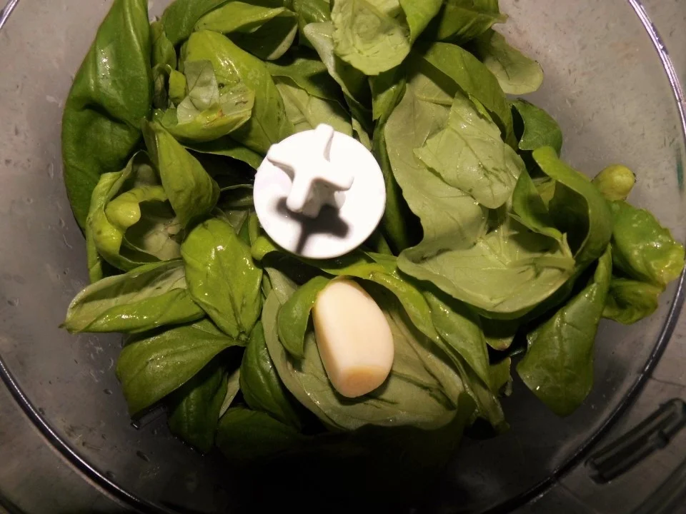 Rezept: Spaghetti mit Basilikum-Grana-Padano-Soße und knuspriges Hähnchenfilet Bild Nr. 1909 Spaghetti mit Basilikum-Grana-Padano-Soße und knuspriges Hähnchenfilet - Rezept - Bild Nr. 1909