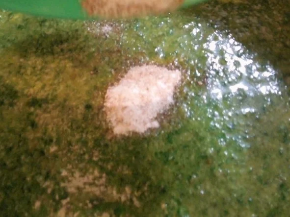 Rezept: Spaghetti mit Basilikum-Grana-Padano-Soße und knuspriges Hähnchenfilet Bild Nr. 1916 Spaghetti mit Basilikum-Grana-Padano-Soße und knuspriges Hähnchenfilet - Rezept - Bild Nr. 1916