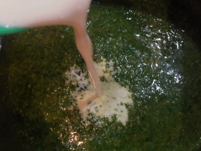 Rezept: Spaghetti mit Basilikum-Grana-Padano-Soße und knuspriges Hähnchenfilet Bild Nr. 1917 Spaghetti mit Basilikum-Grana-Padano-Soße und knuspriges Hähnchenfilet - Rezept - Bild Nr. 1917