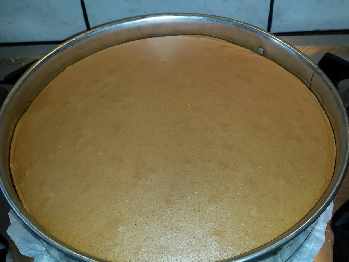 Rezept: JILL's Traum von einer Reggae - Torte Bild Nr. 1925 JILL's Traum von einer Reggae - Torte - Rezept - Bild Nr. 1925