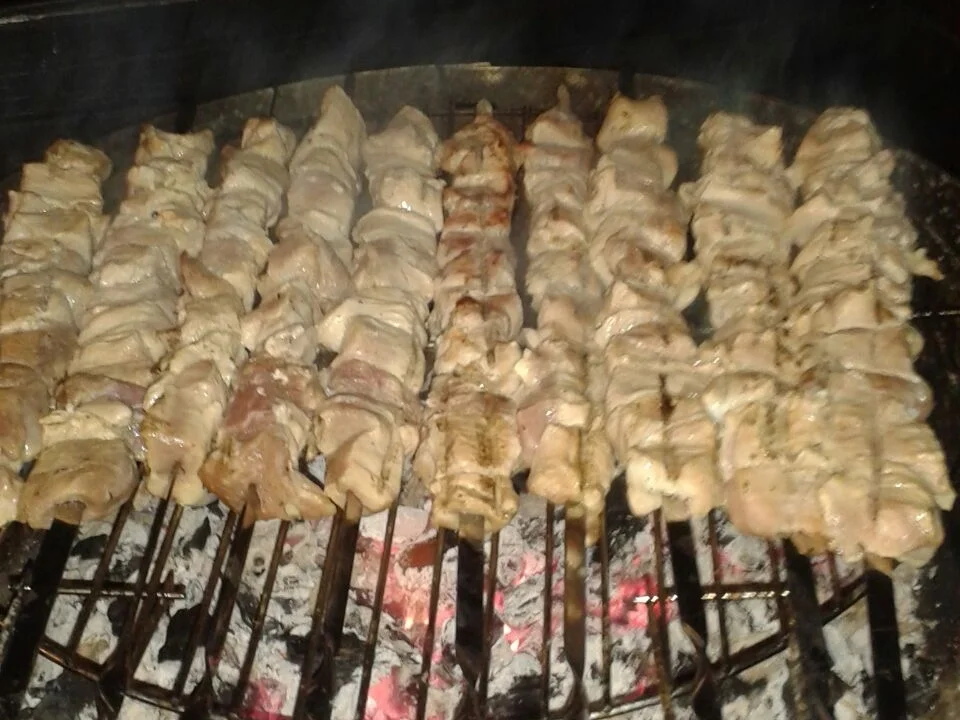 Schaschlik russischer Art - Rezept - Bild Nr. 1948