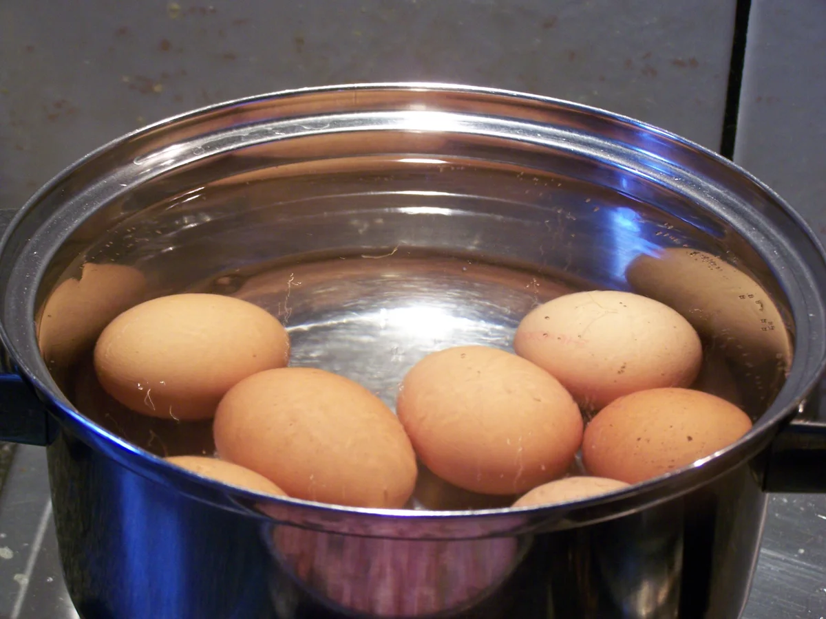 Rezept: Spargel -Eierragou nach hoci's Art Bild Nr. 1969 Spargel -Eierragou nach hoci's Art - Rezept - Bild Nr. 1969