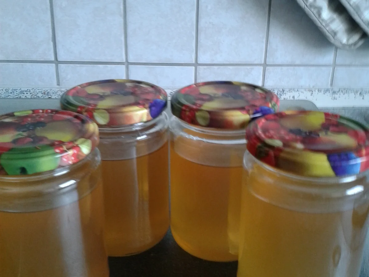 Zitronengelee - Rezept - Bild Nr. 1977