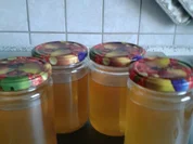 Zitronengelee - Rezept - Bild Nr. 1977