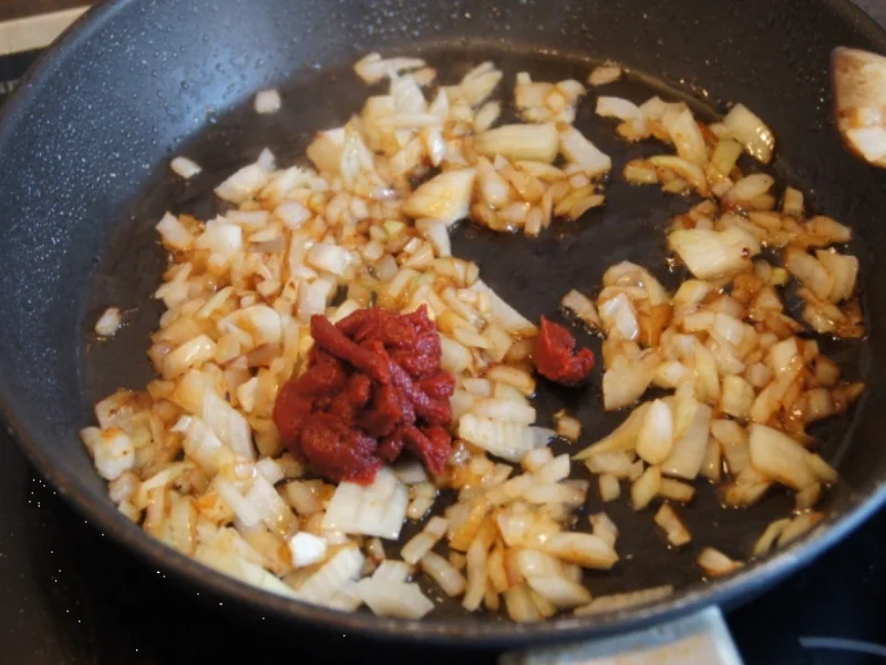 Hähnchenbrustfilet-Schaschlik mit Zwiebel-Tomaten-Ananassauce - Rezept - Bild Nr. 2002