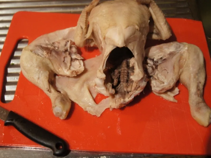 Hähnchen-Gemüse-Nudelsuppe mit Eierstich - Rezept - Bild Nr. 2043