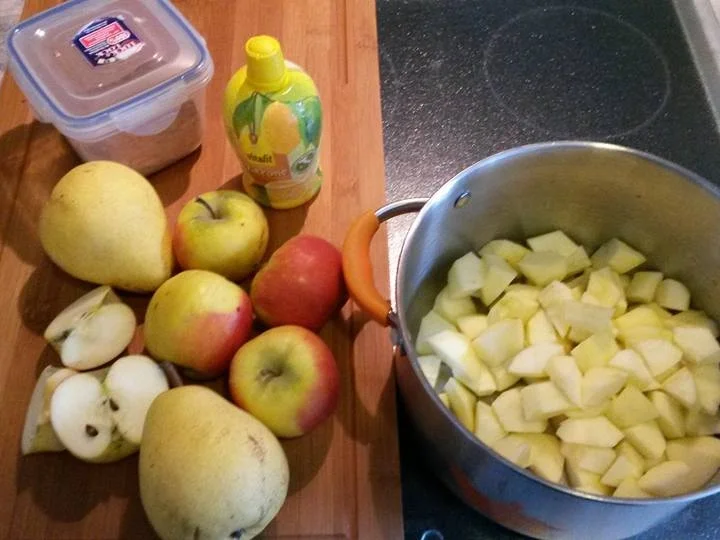 Rezept: Apfel - Birnen - Kompott Bild Nr. 2046 Apfel - Birnen - Kompott - Rezept - Bild Nr. 2046