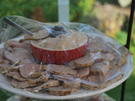 maiale tonnato - Rezept - Bild Nr. 2052