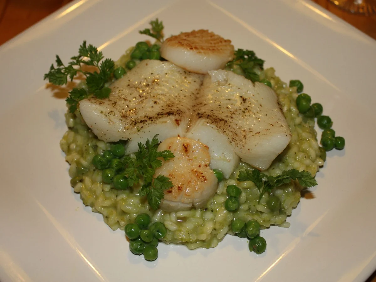 Heilbuttfilet mit Jakobsmuschel auf Erbsenrisotto - Rezept - Bild Nr. 2098