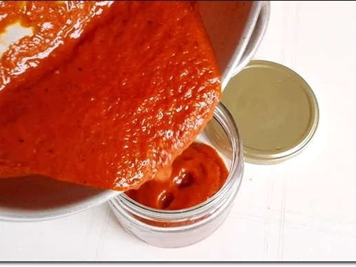 Rezept: Raffinierte Tomatensauce nicht nur für Chickenburger Bild Nr. 2115 Raffinierte Tomatensauce nicht nur für Chickenburger - Rezept - Bild Nr. 2115