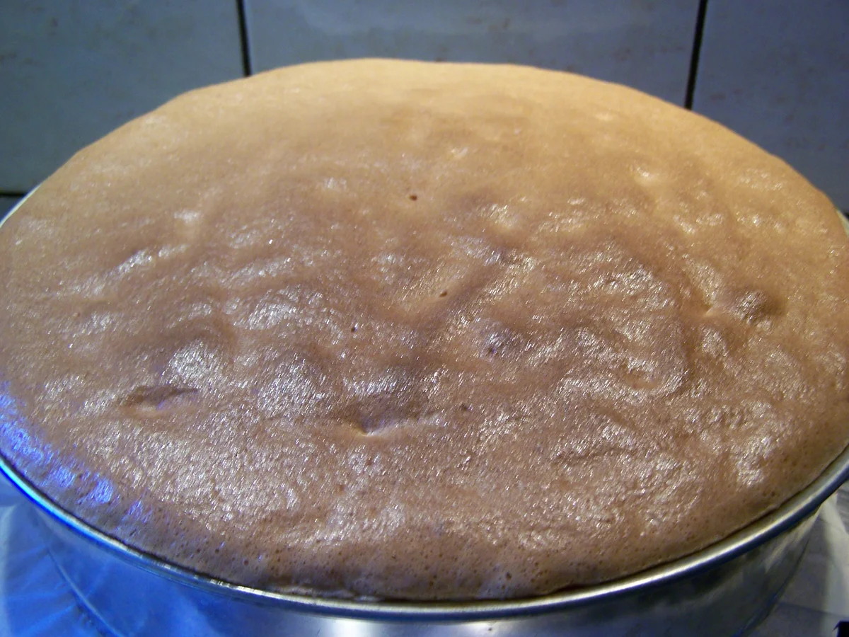 Robby's Torte zum 18. Geburtstag - Rezept - Bild Nr. 2113