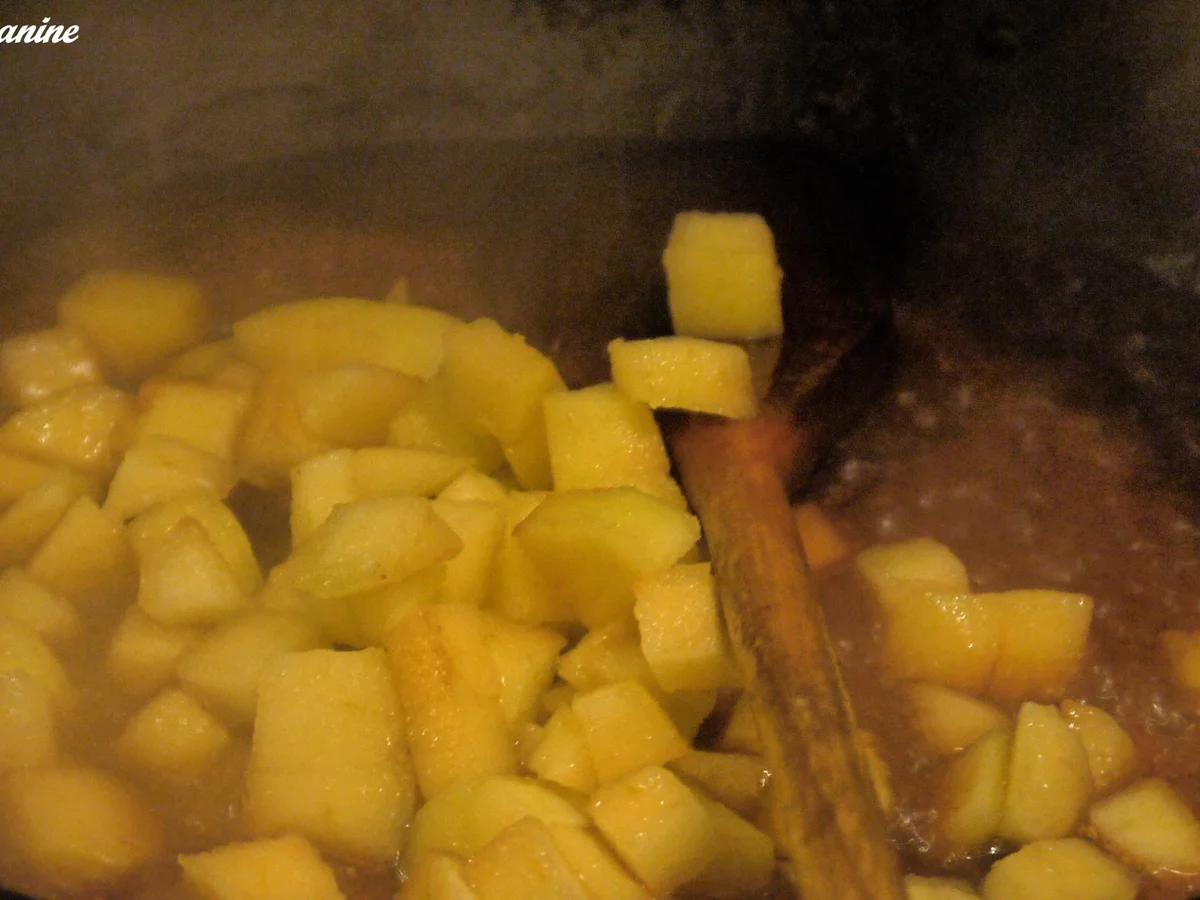 Entenbrust mit Apfel-Ebly (Weichweizen) - Rezept - Bild Nr. 2170