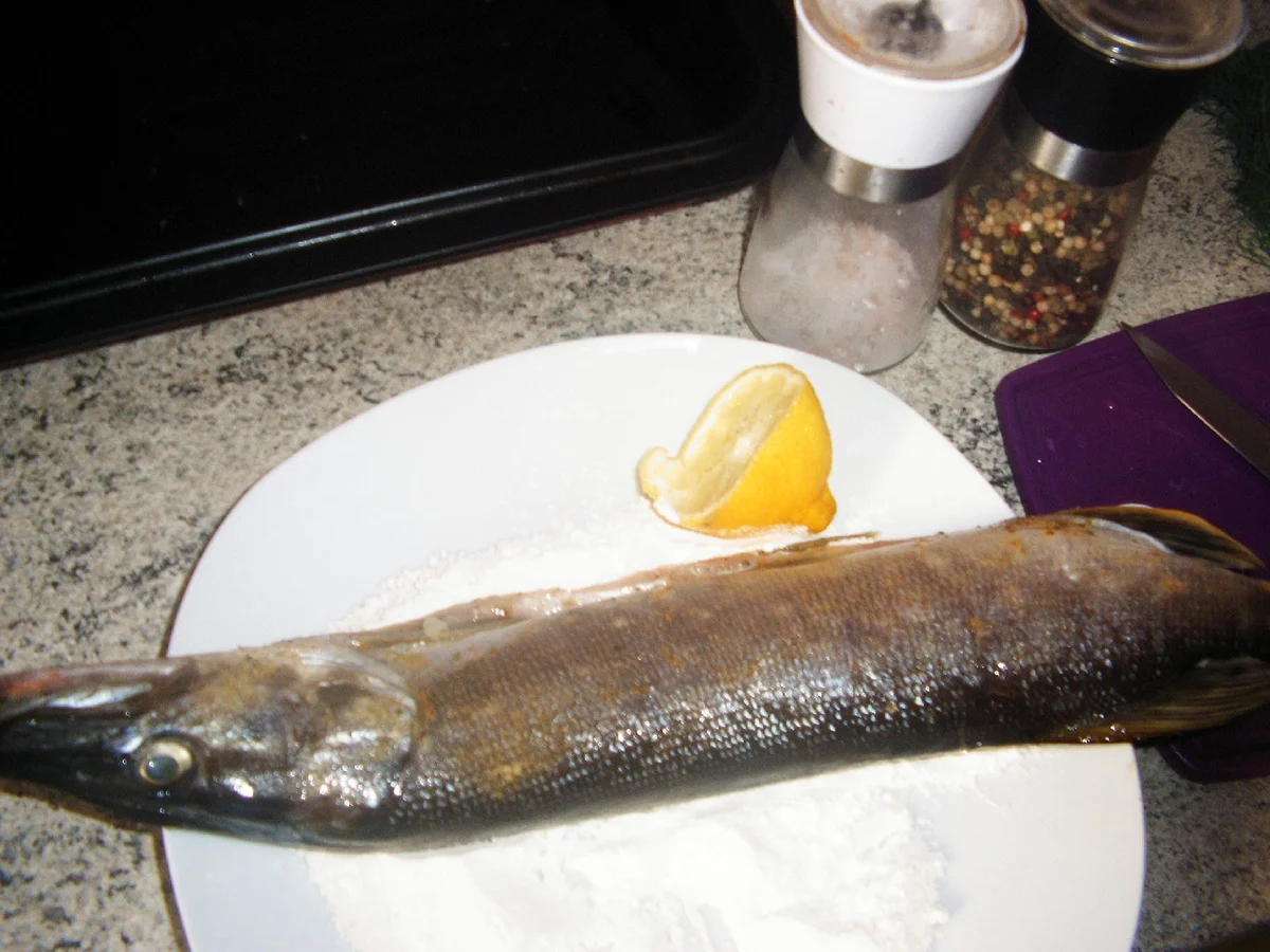 Rezept: Hecht aus den Ofen Bild Nr. 2191 Hecht aus den Ofen - Rezept - Bild Nr. 2191