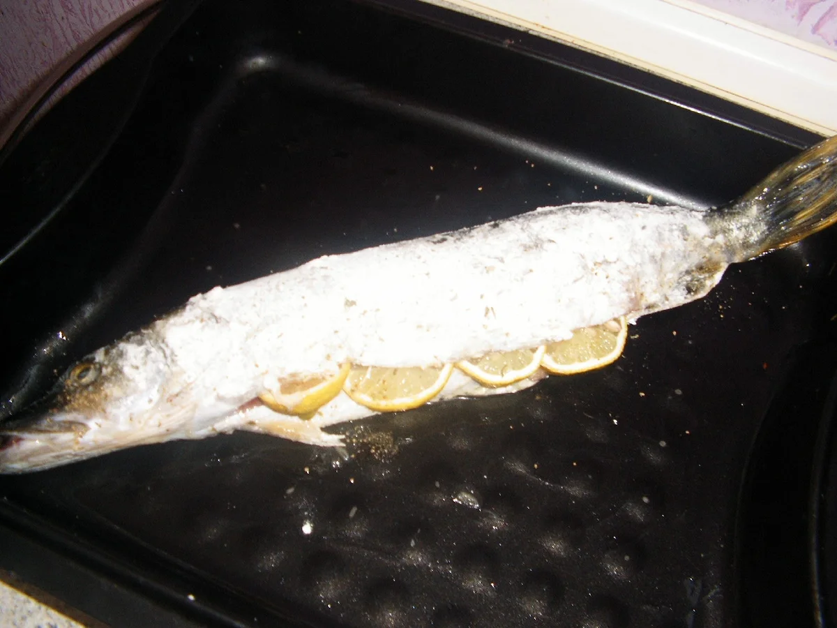 Rezept: Hecht aus den Ofen Bild Nr. 2194 Hecht aus den Ofen - Rezept - Bild Nr. 2194