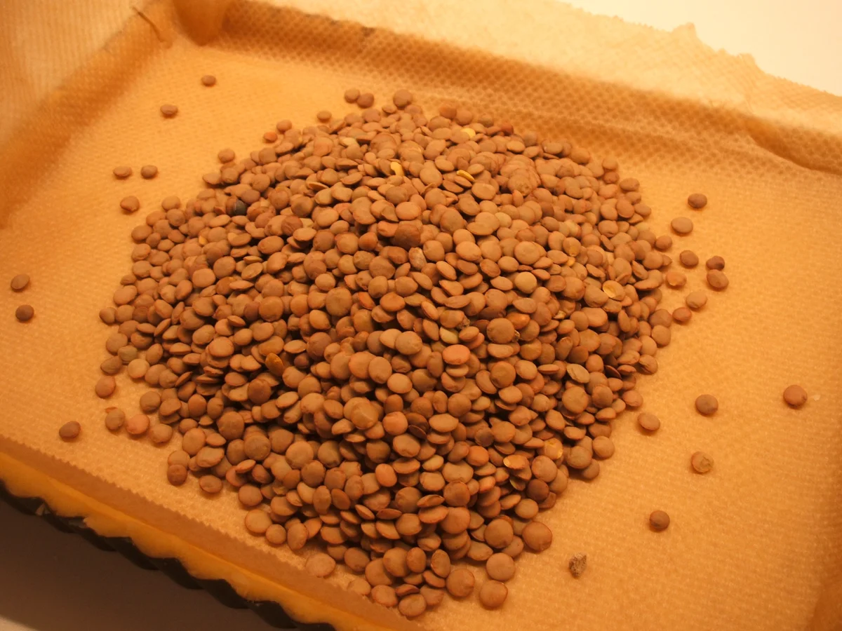 Backen: Cidre-Apfel-Tarte - Rezept - Bild Nr. 2274