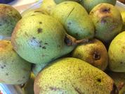 Birnen Marmelade - Rezept - Bild Nr. 2280