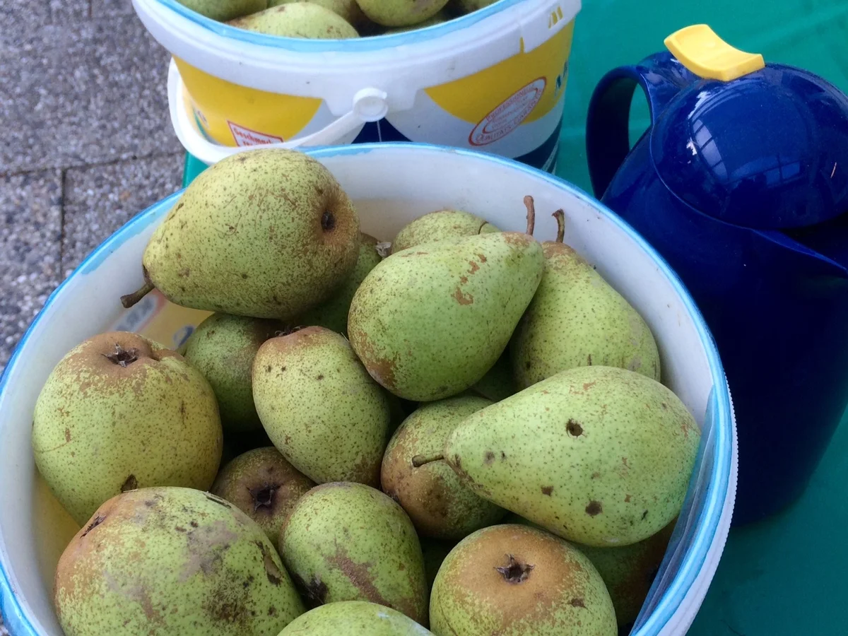 Rezept: Birnen Marmelade Bild Nr. 2281 Birnen Marmelade - Rezept - Bild Nr. 2281