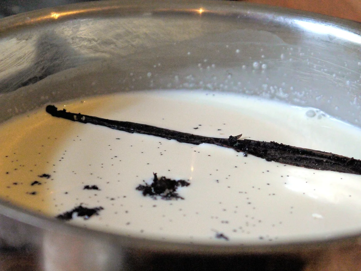 Limetten-Panna Cotta mit beschwipstem Granatapfel - Rezept - Bild Nr. 2285