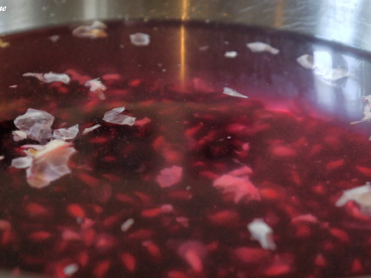 Limetten-Panna Cotta mit beschwipstem Granatapfel - Rezept - Bild Nr. 2290