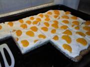 Quark- Mandarinen- Blechkuchen  Low Carb - Rezept - Bild Nr. 2301