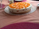 fruchtige Mandarinentorte mit Quarkcreme - Rezept - Bild Nr. 2349