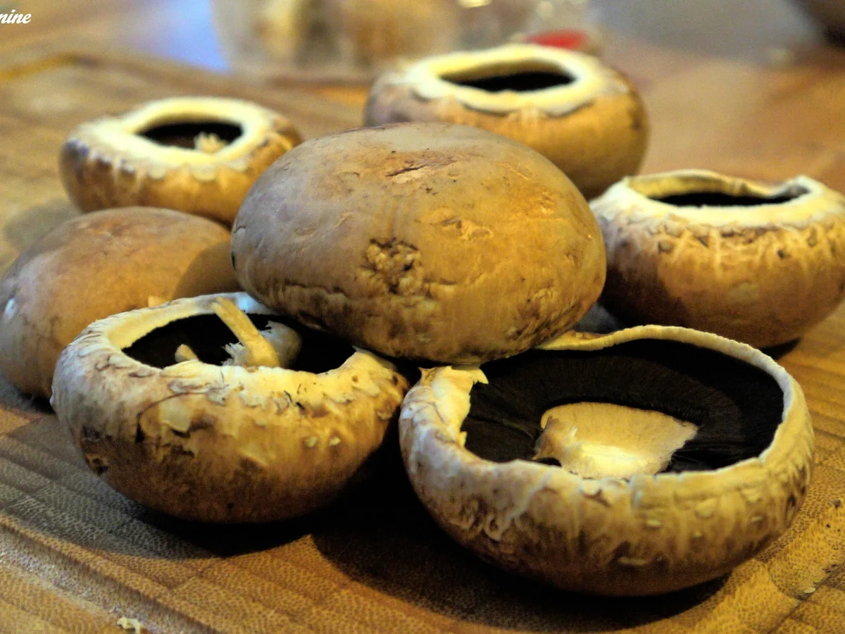 Gefüllte und überbackene Champignons - Rezept - Bild Nr. 2454