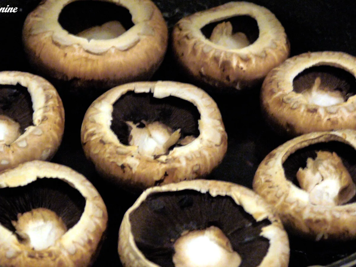 Gefüllte und überbackene Champignons - Rezept - Bild Nr. 2459