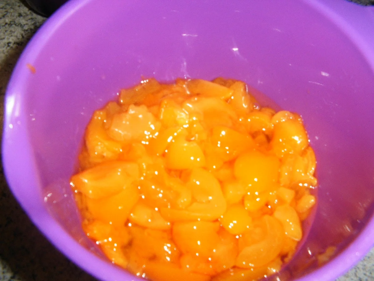 Rezept: Quarkauflauf mit Aprikosenkompott Bild Nr. 2495 Quarkauflauf mit Aprikosenkompott - Rezept - Bild Nr. 2495