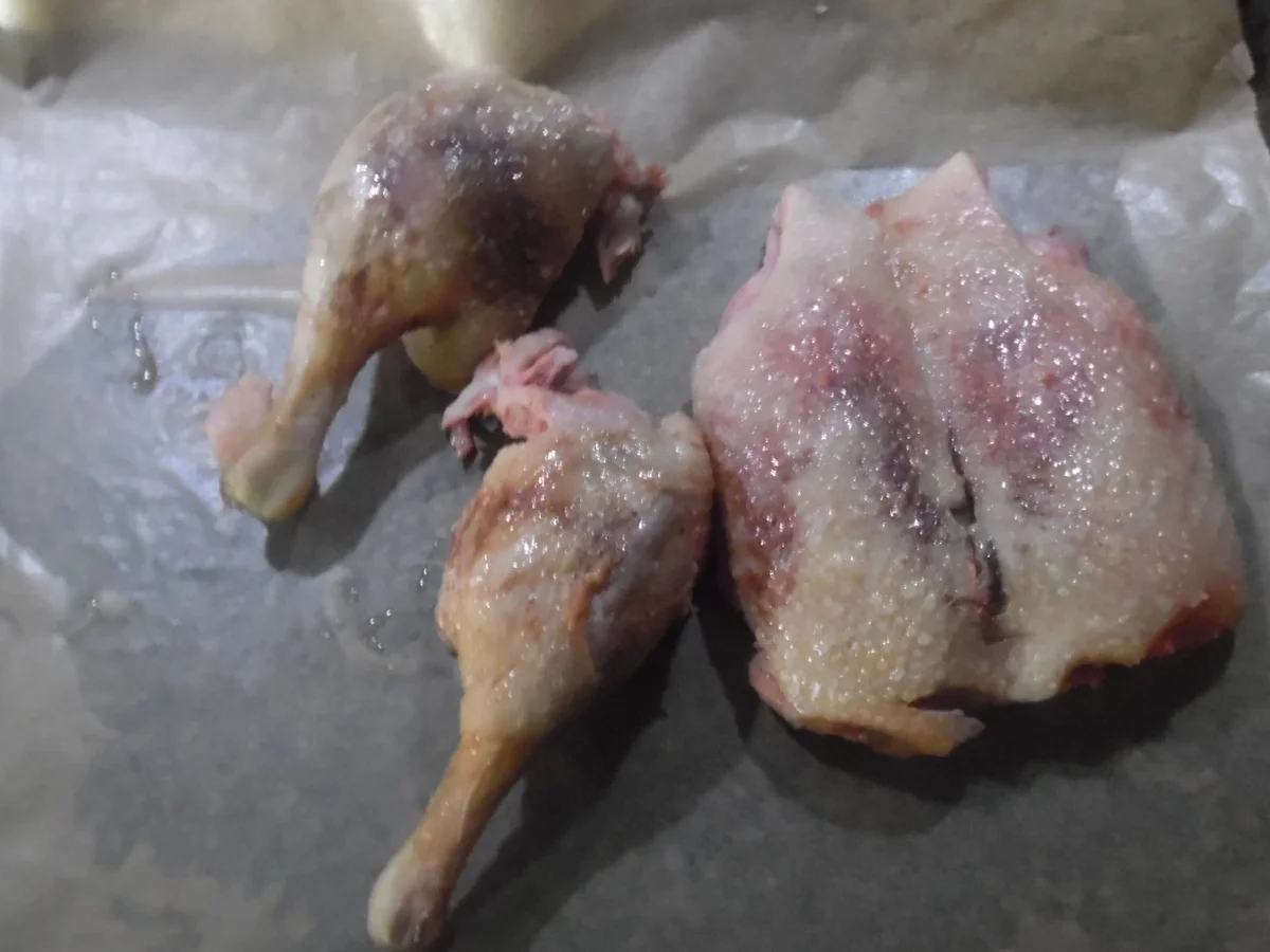 Ente "cross" - Rezept - Bild Nr. 2492