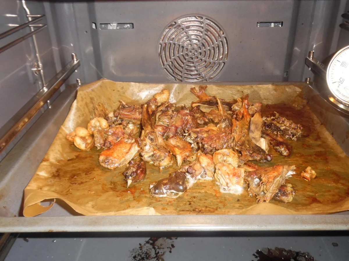 Ente "cross" - Rezept - Bild Nr. 2495