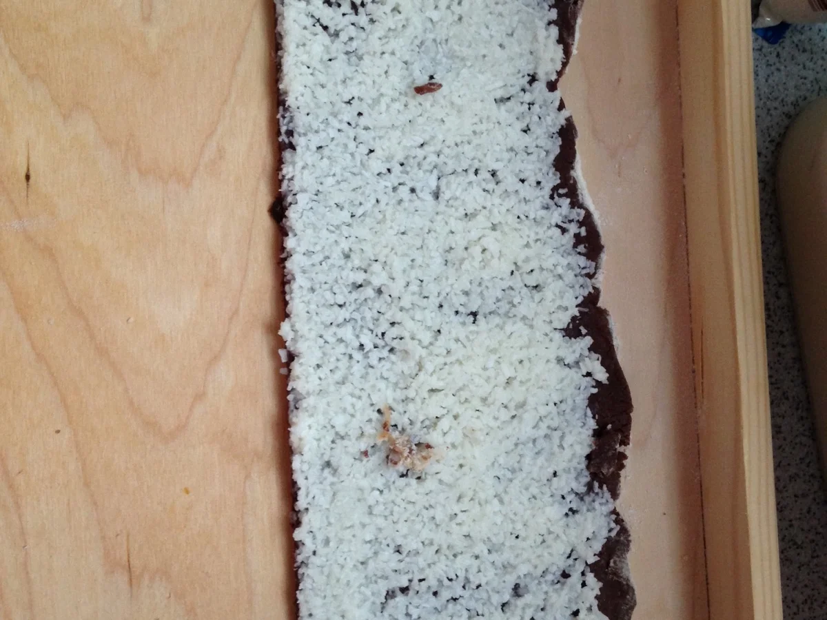 Rezept: Kokos-Schoko-Wirbel Bild Nr. 2628 Kokos-Schoko-Wirbel - Rezept - Bild Nr. 2628