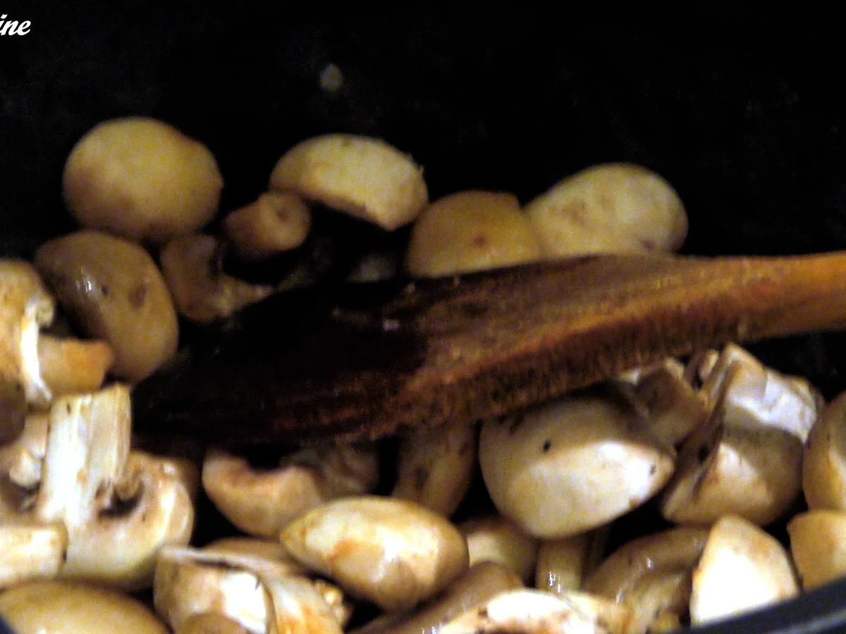 Hackfleisch nach Stroganoff-Art - Rezept - Bild Nr. 2688