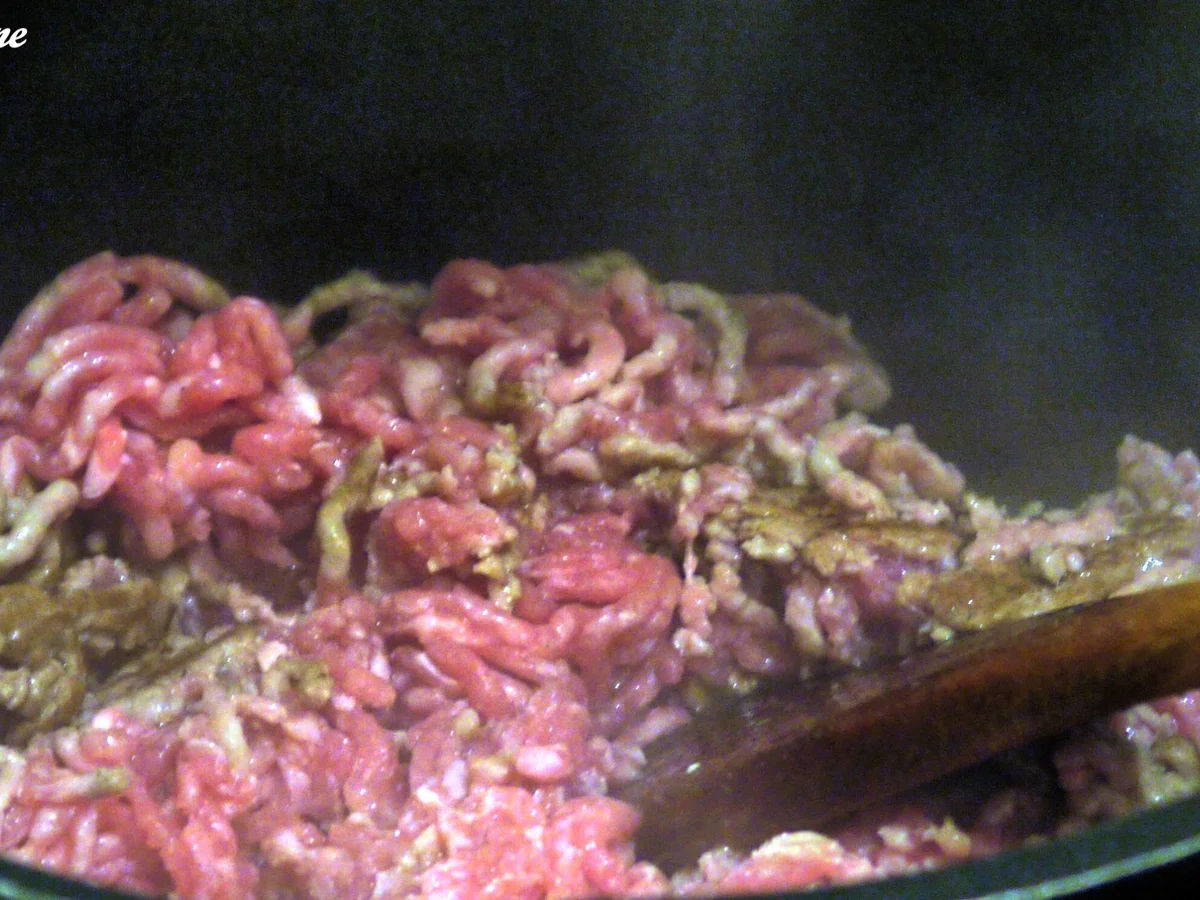 Hackfleisch nach Stroganoff-Art - Rezept - Bild Nr. 2689