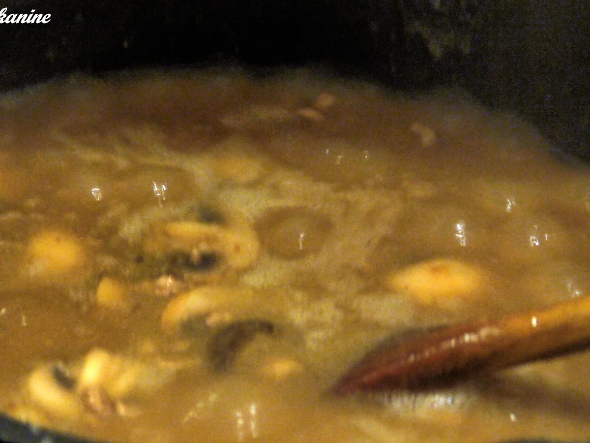 Hackfleisch nach Stroganoff-Art - Rezept - Bild Nr. 2691